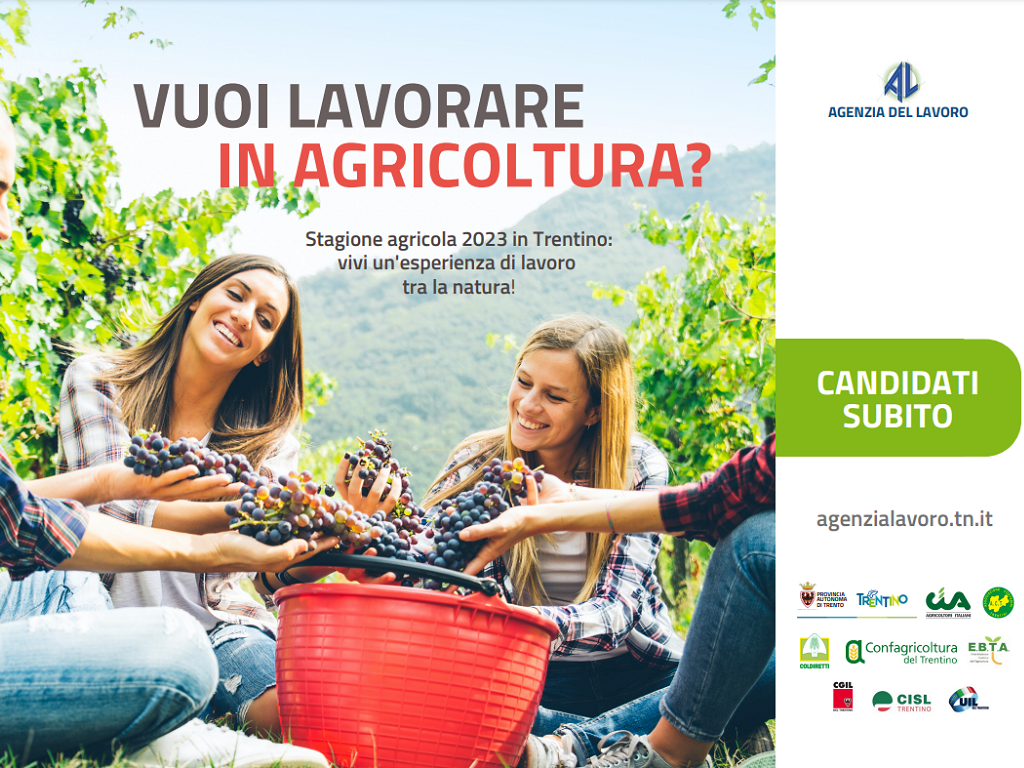 Lavora nel settore agricolo