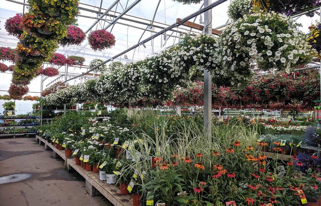 Domande di contributo per il settore della floricoltura