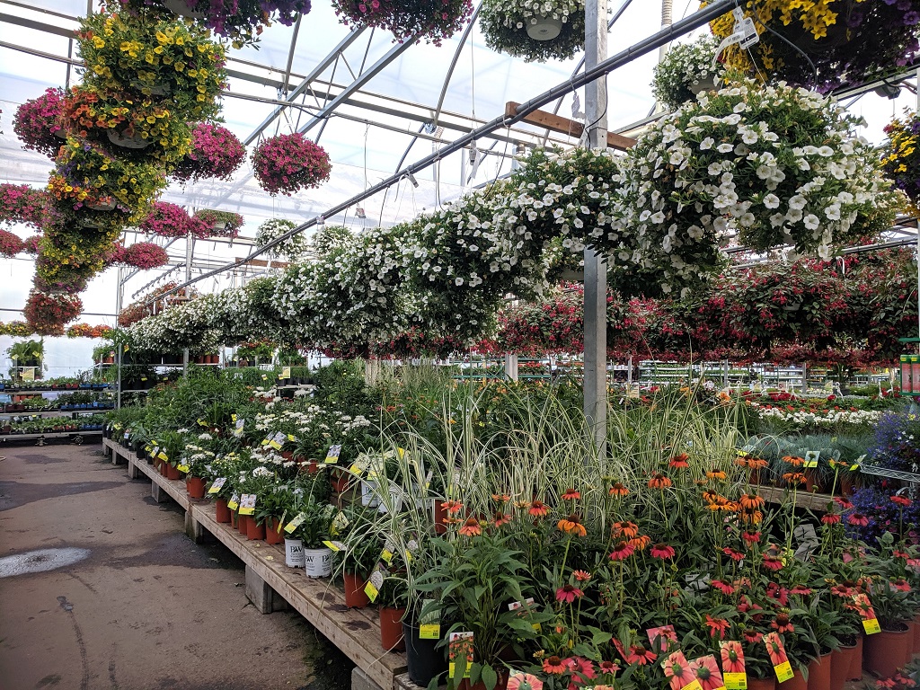 Domande di contributo per il settore della floricoltura