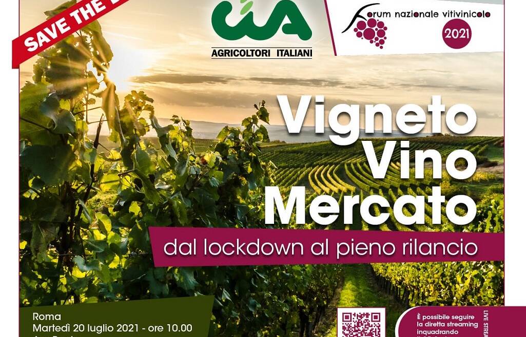 webinar  “Vigneti, vino, mercato: dal lockdown al pieno rilancio”
