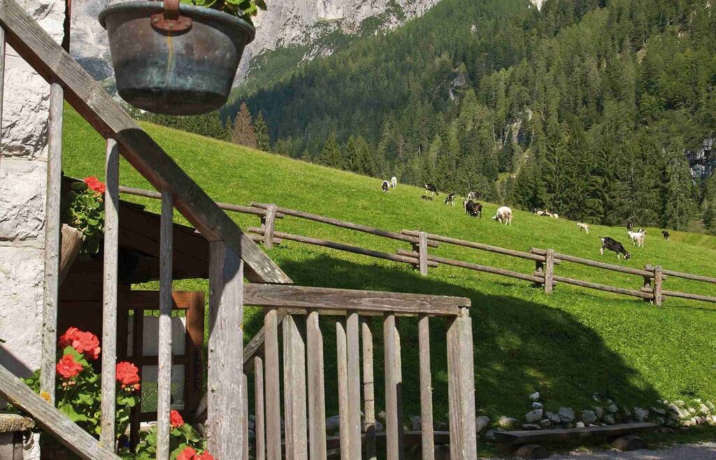 Apertura bando PSR misura SRD03 – investimenti nelle aziende agricole per la diversificazione in attività non agricole