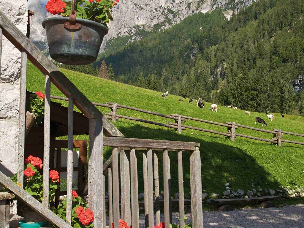 Apertura bando PSR misura SRD03 – investimenti nelle aziende agricole per la diversificazione in attività non agricole