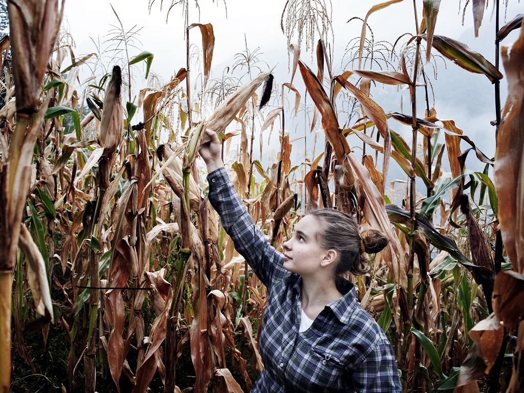 ISMEA: “Più Impresa – Imprenditoria giovanile e femminile in agricoltura”