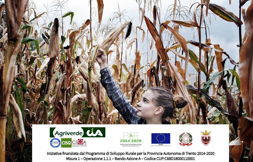 WORKSHOP IL RICAMBIO GENERAZIONALE IN AGRICOLTURA