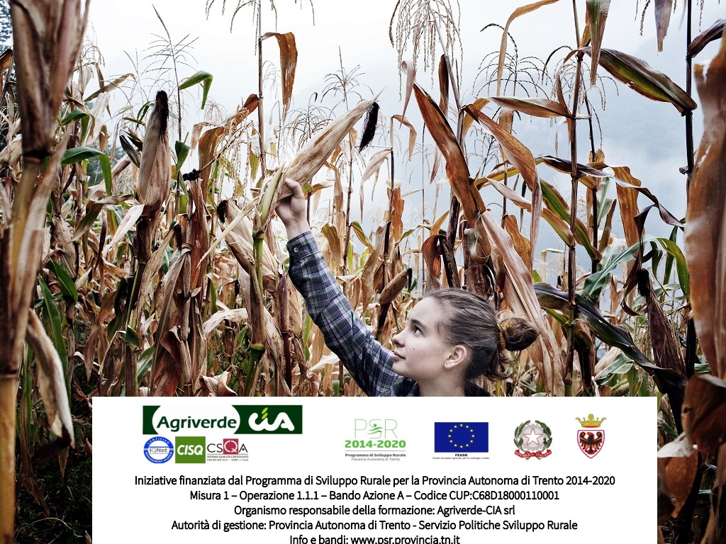 WORKSHOP IL RICAMBIO GENERAZIONALE IN AGRICOLTURA