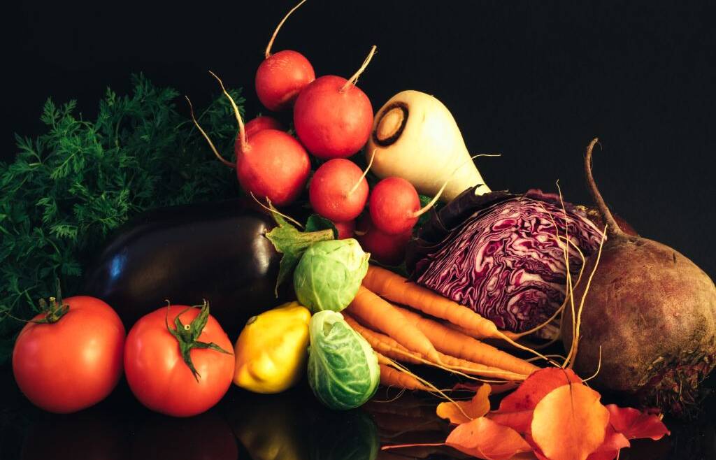 CORSI DI FORMAZIONE IGIENICO SANITARIA E SISTEMA HACCP