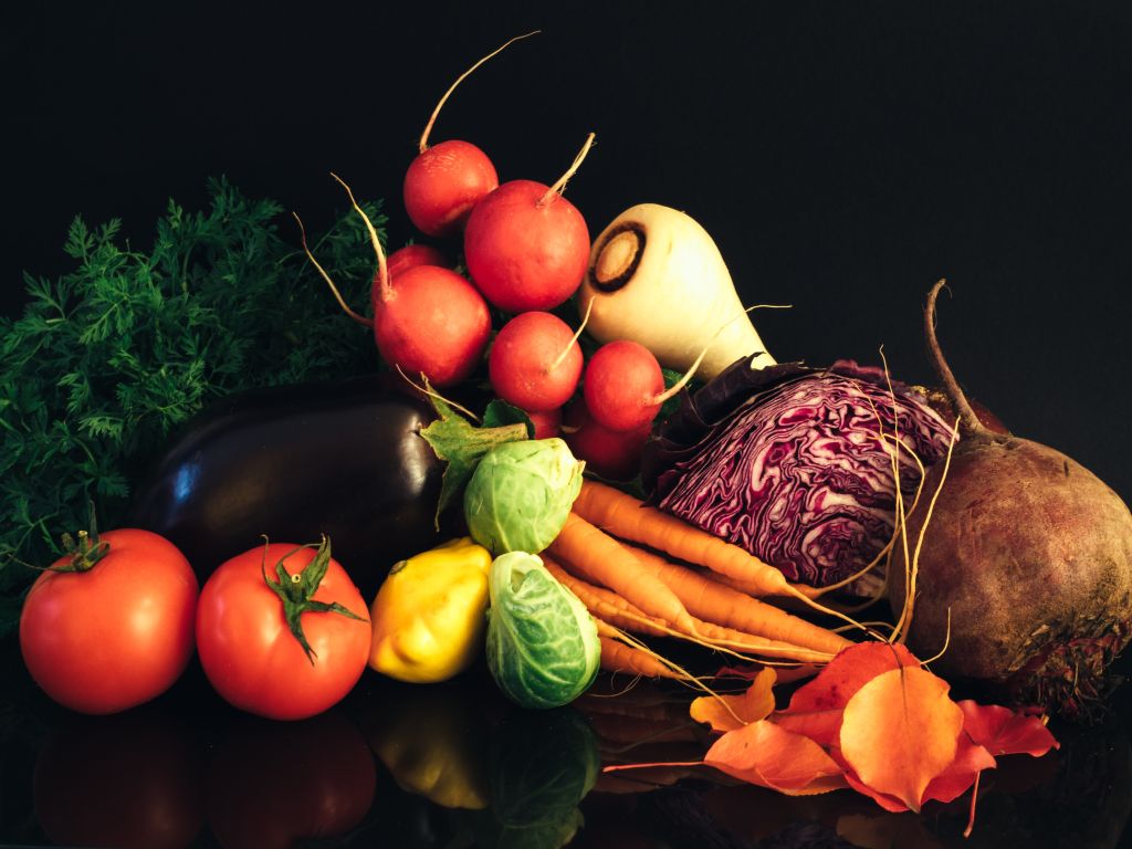 CORSI DI FORMAZIONE IGIENICO SANITARIA E SISTEMA HACCP