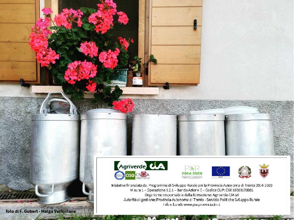 CORSO ARTE CASEARIA