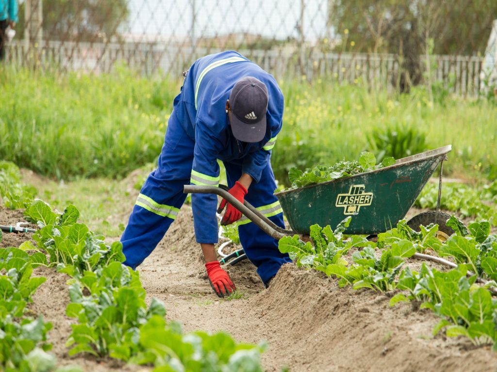 corso base SICUREZZA LAVORATORI