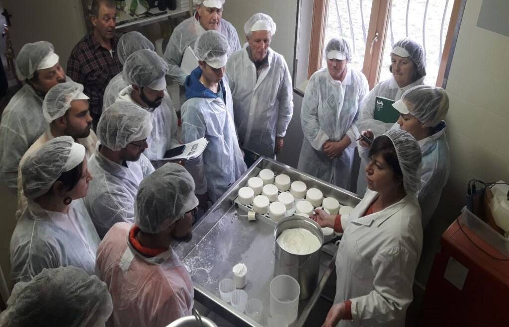 CORSO DAL LATTE AL FORMAGGIO: ELEMENTI DI ARTE CASEARIA