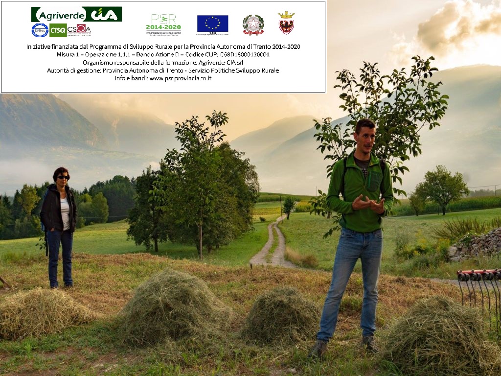 CORSO COLTIVAZIONE DEL PRATO