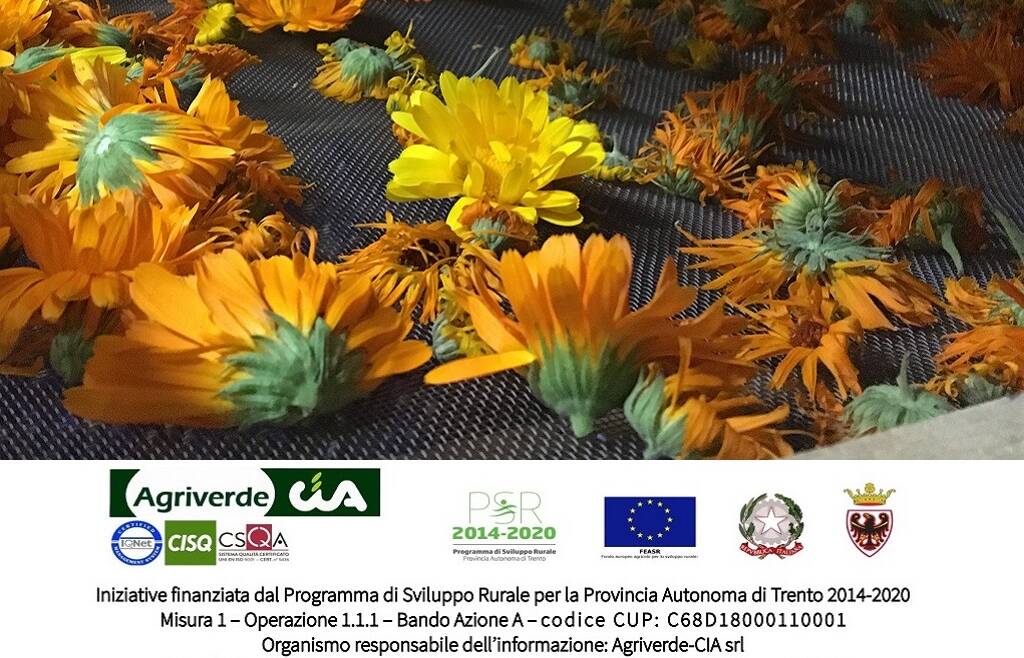 Corso di qualificazione professionale “Coltivazione, raccolta e trasformazione di PIANTE OFFICINALI“ (70 ore)