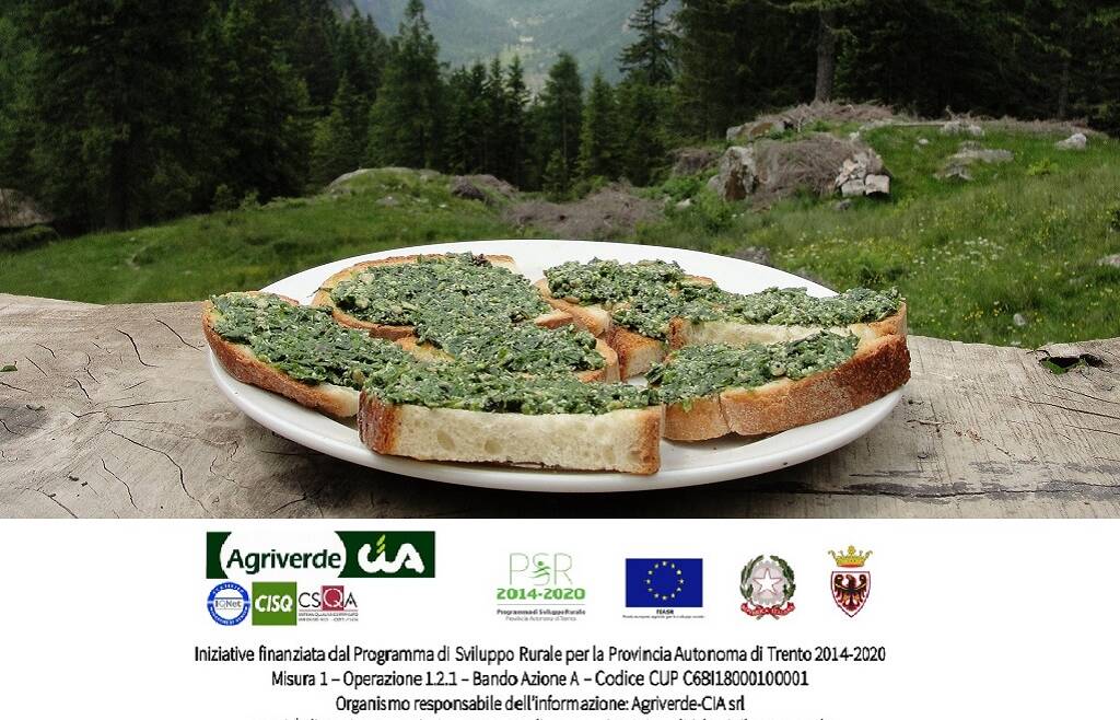 Corso “PIANTE OFFICINALI E RICETTE D’ALTA QUOTA. Laboratorio di cucina in malga”