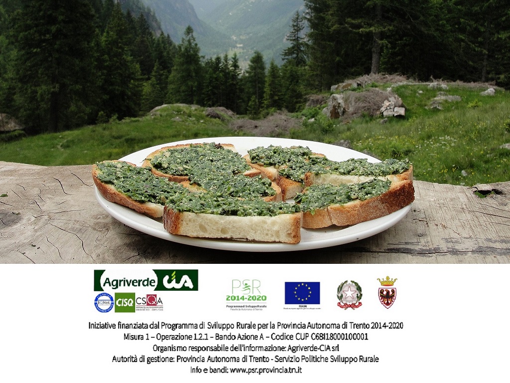 Corso “PIANTE OFFICINALI E RICETTE D’ALTA QUOTA. Laboratorio di cucina in malga”