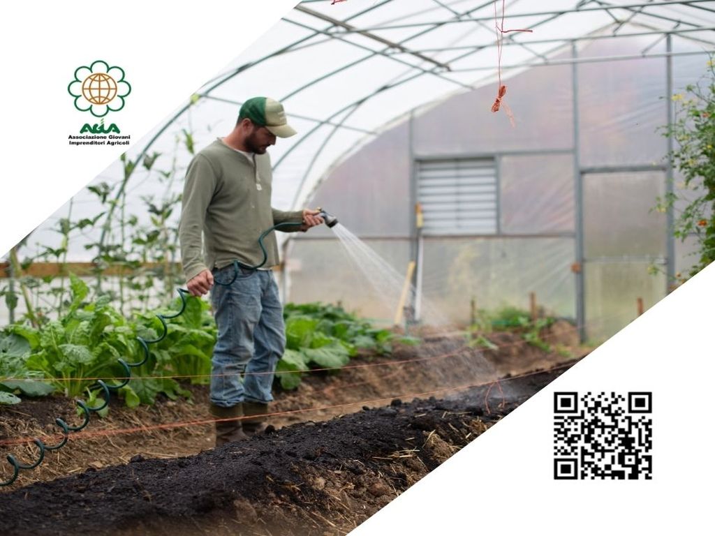 Giovane Imprenditore Agricolo? Dicci la tua!
