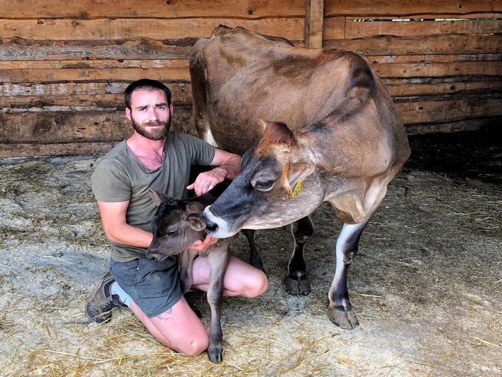 Giovani Agricoltori Trentini significa anche… zootecnia di montagna