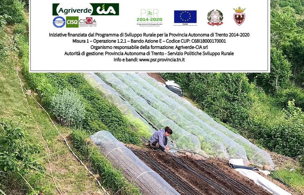 CORSO DI PROGETTAZIONE E GESTIONE FUNZIONALE E SOSTENIBILE PER AZIENDE AGRICOLE MULTIFUNZIONALI ORTICOLE