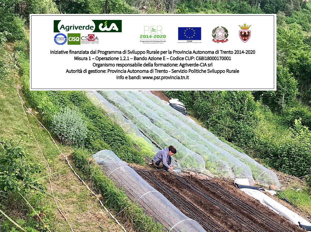 CORSO DI PROGETTAZIONE E GESTIONE FUNZIONALE E SOSTENIBILE PER AZIENDE AGRICOLE MULTIFUNZIONALI ORTICOLE
