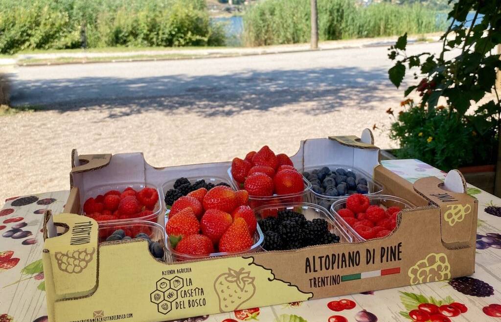 Giovani Agricoltori Trentini significa anche… agricoltura familiare