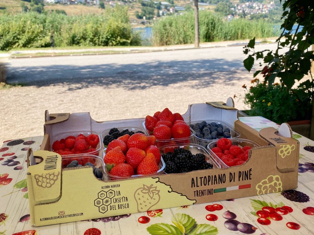 Giovani Agricoltori Trentini significa anche… agricoltura familiare