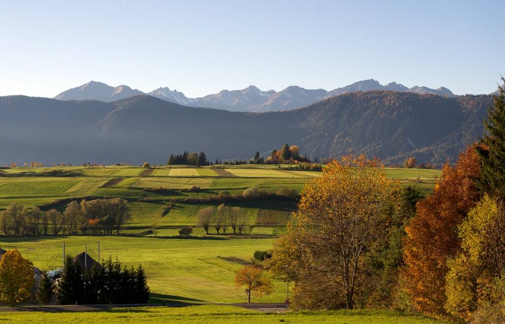 Gestione economico–finanziaria dell’impresa agricola – L’abc della contabilità agraria