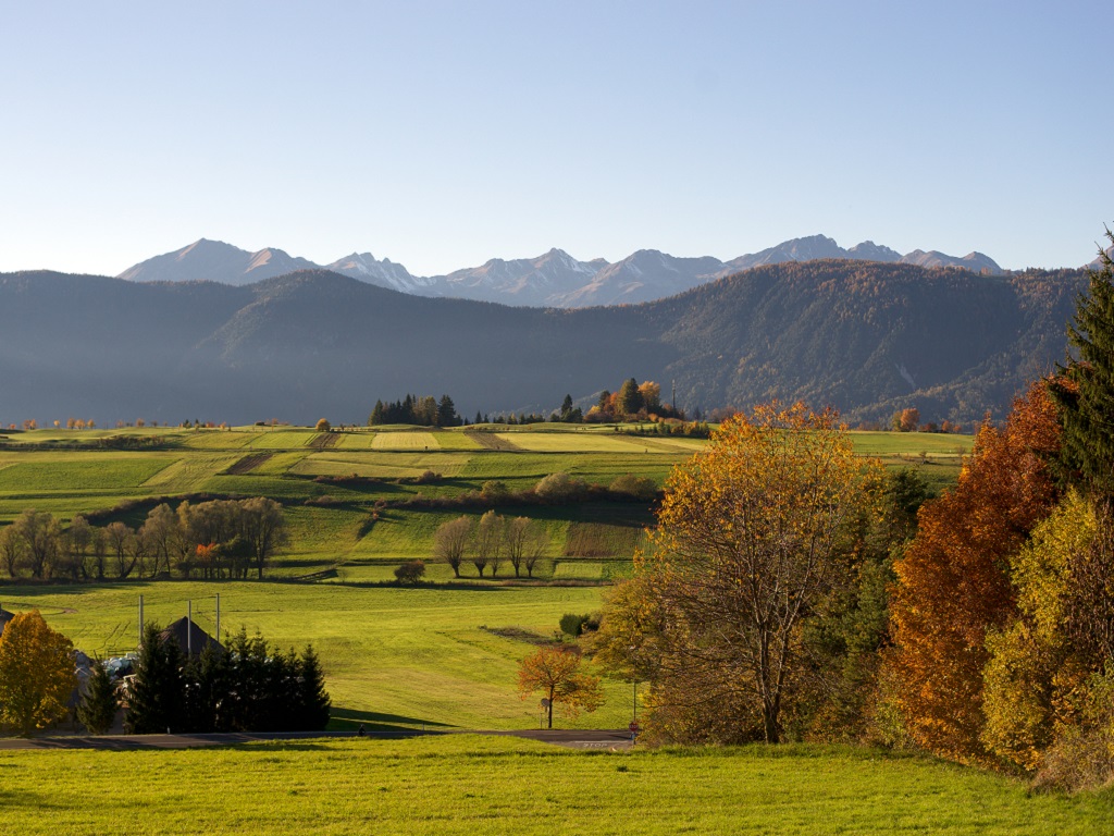 Gestione economico–finanziaria dell’impresa agricola – L’abc della contabilità agraria