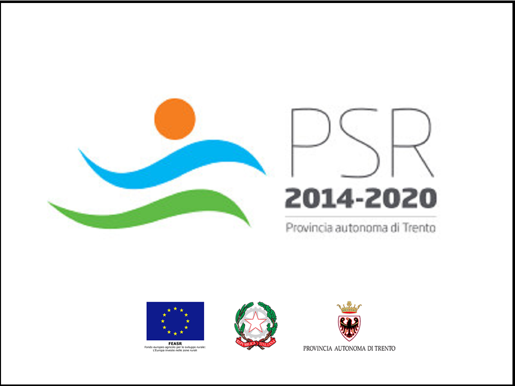 Proroga bandi PSR 2022