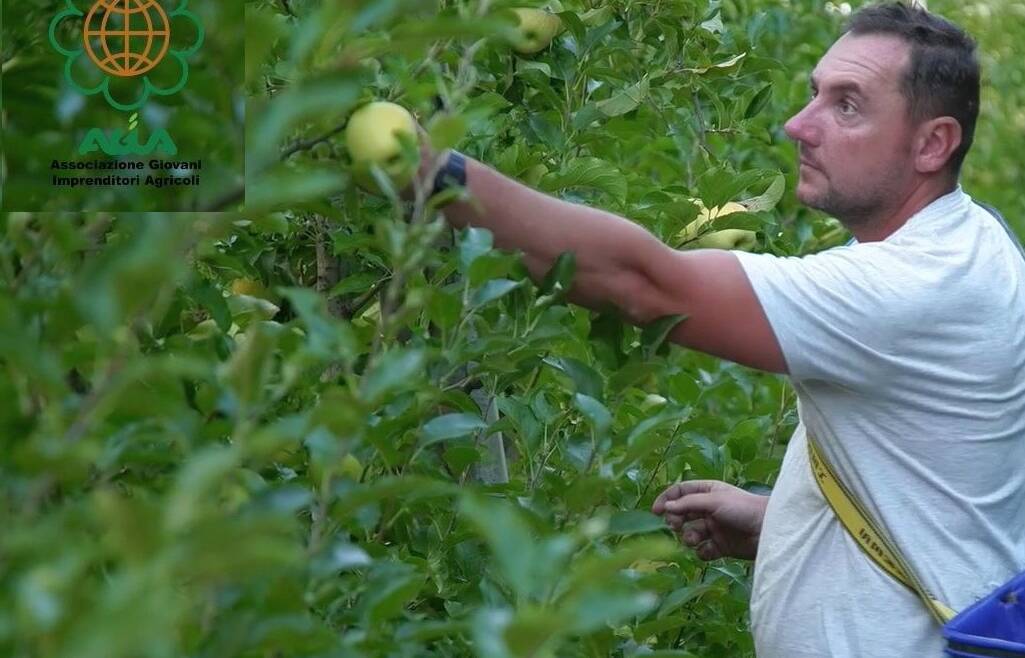 2/4 Frutticoltura “Io, tu, noi – Agricoltura | Landwirtschaft – ich, du, wir”