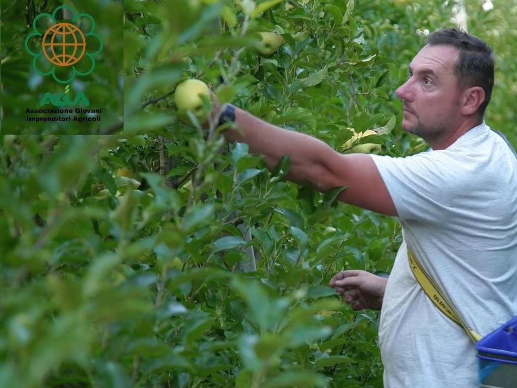 2/4 Frutticoltura “Io, tu, noi – Agricoltura | Landwirtschaft – ich, du, wir”