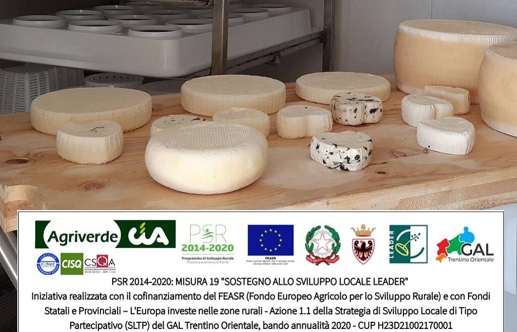 corso Il latte di capra e l’arte casearia: corso avanzato
