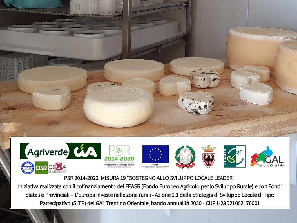 corso Il latte di capra e l’arte casearia: corso avanzato