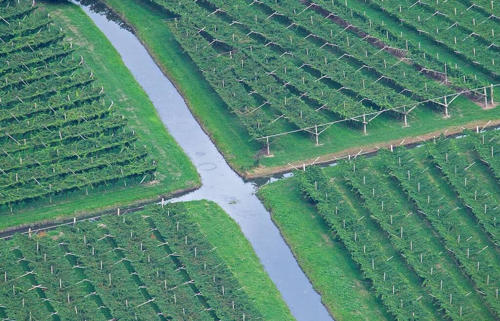 Elezioni Consorzio Trentino di Bonifica