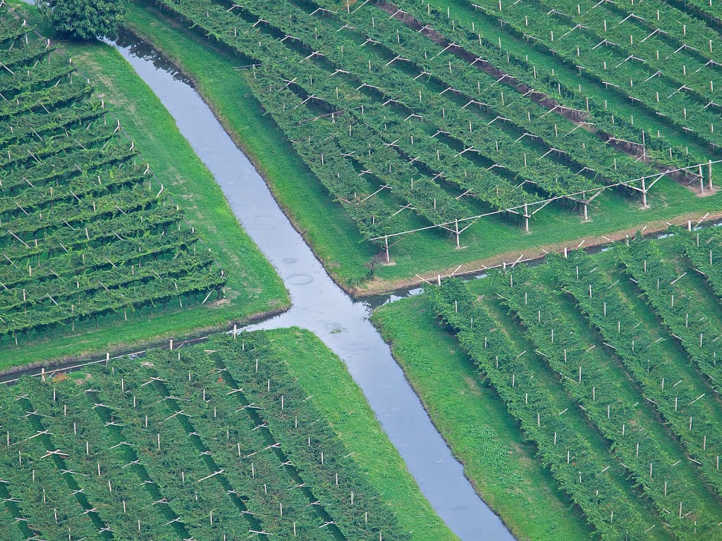 Elezioni Consorzio Trentino di Bonifica