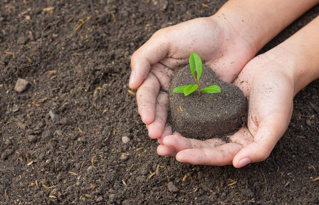 Scadenza domanda di liquidazione spese di certificazione del sistema biologico 2022