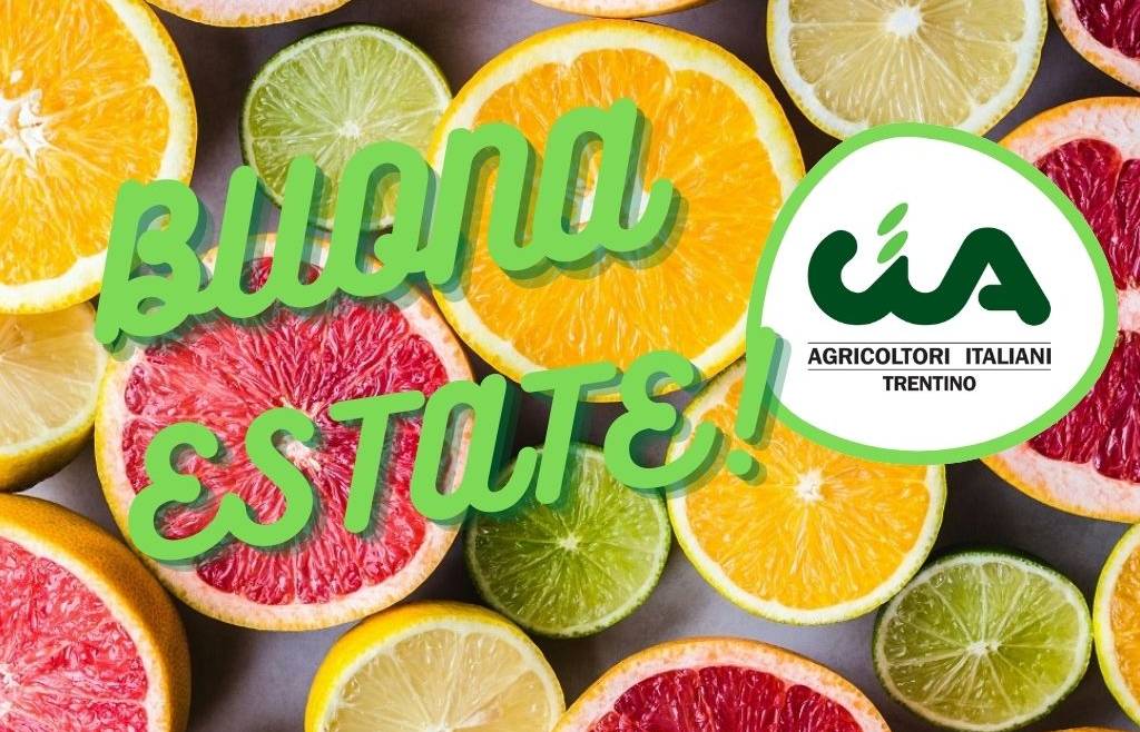 Chiusure estive uffici CIA del Trentino