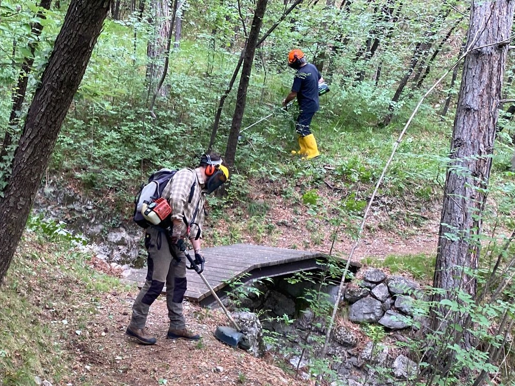 UTILIZZO IN SICUREZZA DELL DECESPUGLIATORE