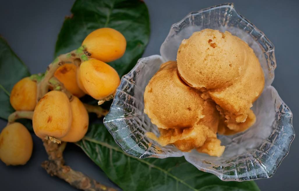 AGRIGELATERIA CORSO BASE