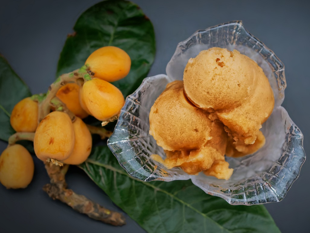 AGRIGELATERIA CORSO BASE