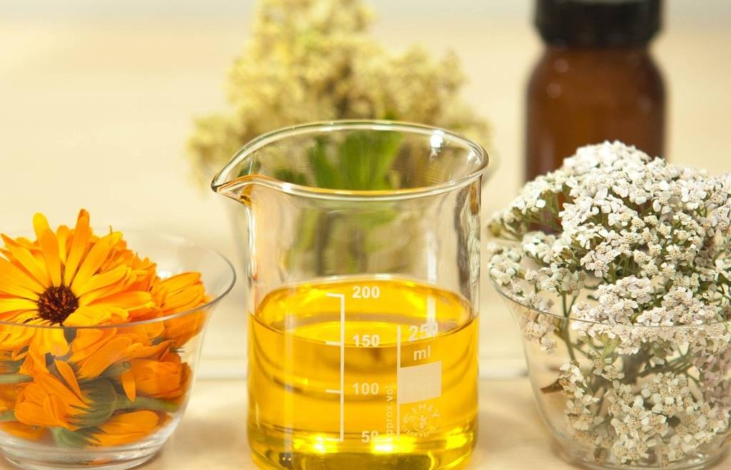 corso INTRODUZIONE AI PROCESSI POST-RACCOLTA DELLE PIANTE OFFICINALI