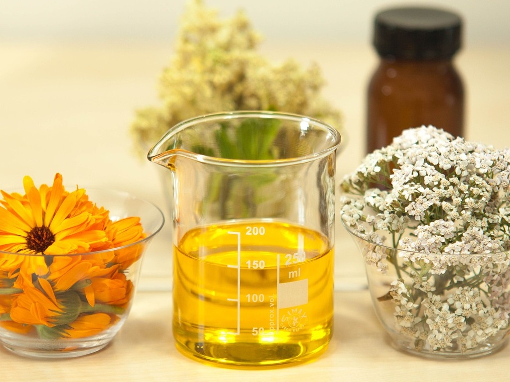 corso INTRODUZIONE AI PROCESSI POST-RACCOLTA DELLE PIANTE OFFICINALI