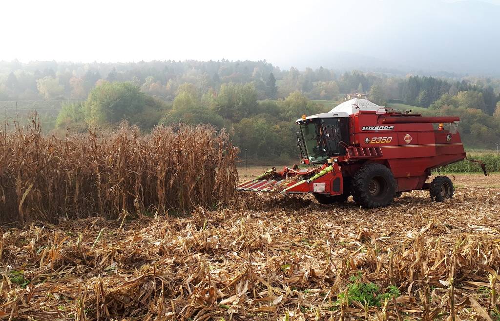 Apertura Fondo per l’innovazione in agricoltura ISMEA 2024