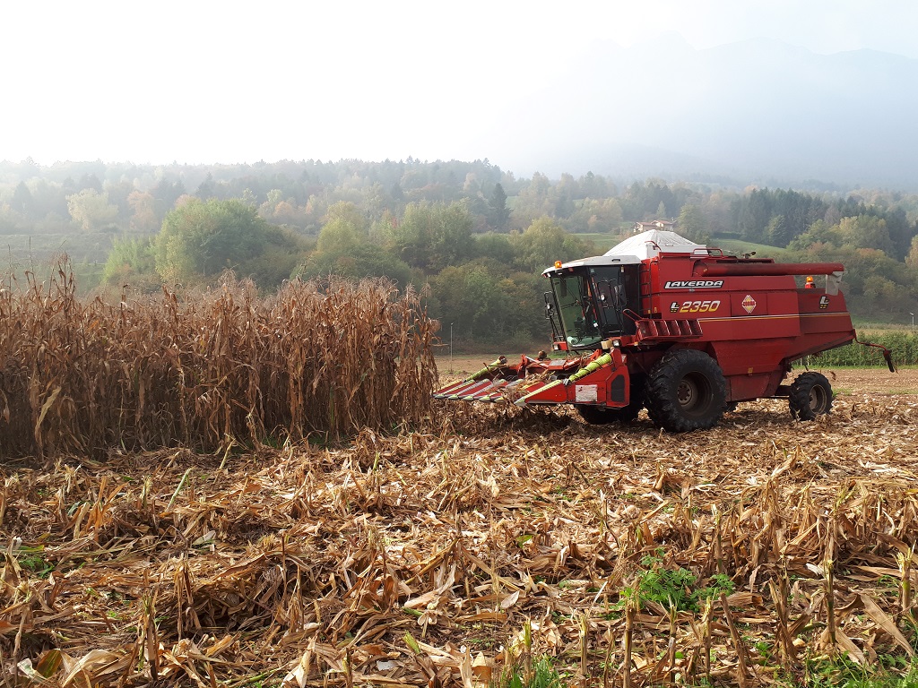 Apertura Fondo per l’innovazione in agricoltura ISMEA 2024