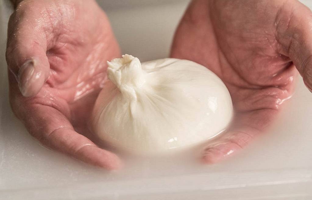 corso ARTE CASEARIA AVANZATA: LE PASTE FILATE
