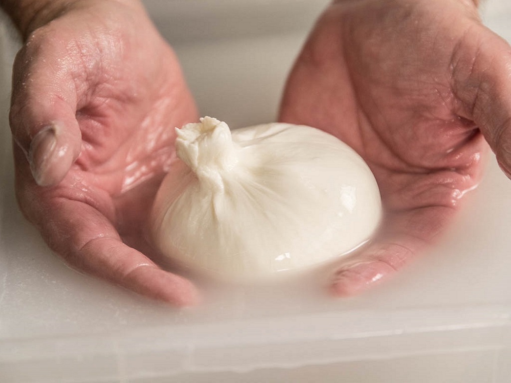 corso ARTE CASEARIA AVANZATA: LE PASTE FILATE