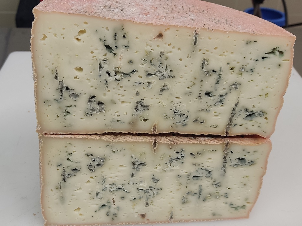 corso ARTE CASEARIA AVANZATA: ERBORINATI E CACIOTTE MORBIDE
