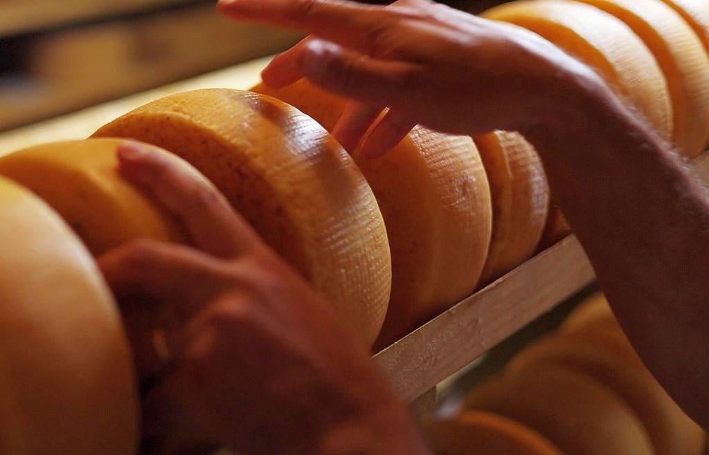 corso ARTE CASEARIA AVANZATA: LA STAGIONATURA, GLI AFFINAMENTI E LA PRESENTAZIONE DEI FORMAGGI