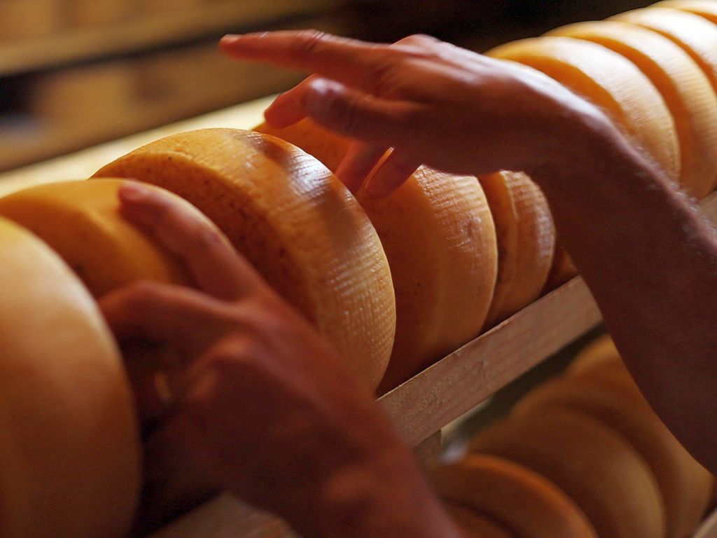 corso ARTE CASEARIA AVANZATA: LA STAGIONATURA, GLI AFFINAMENTI E LA PRESENTAZIONE DEI FORMAGGI