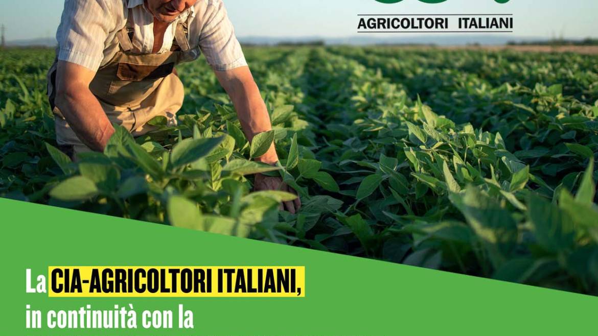 Paolo Calovi: “La manifestazione deve unirci non dividerci”