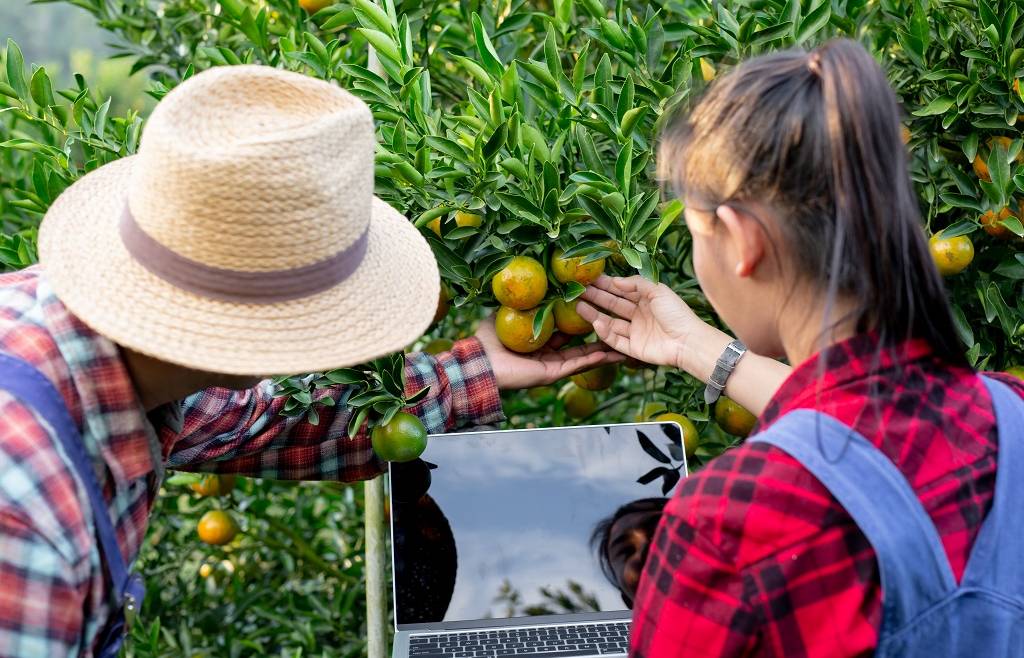 RACCONTA LA TUA STORIA AGRICOLA!
