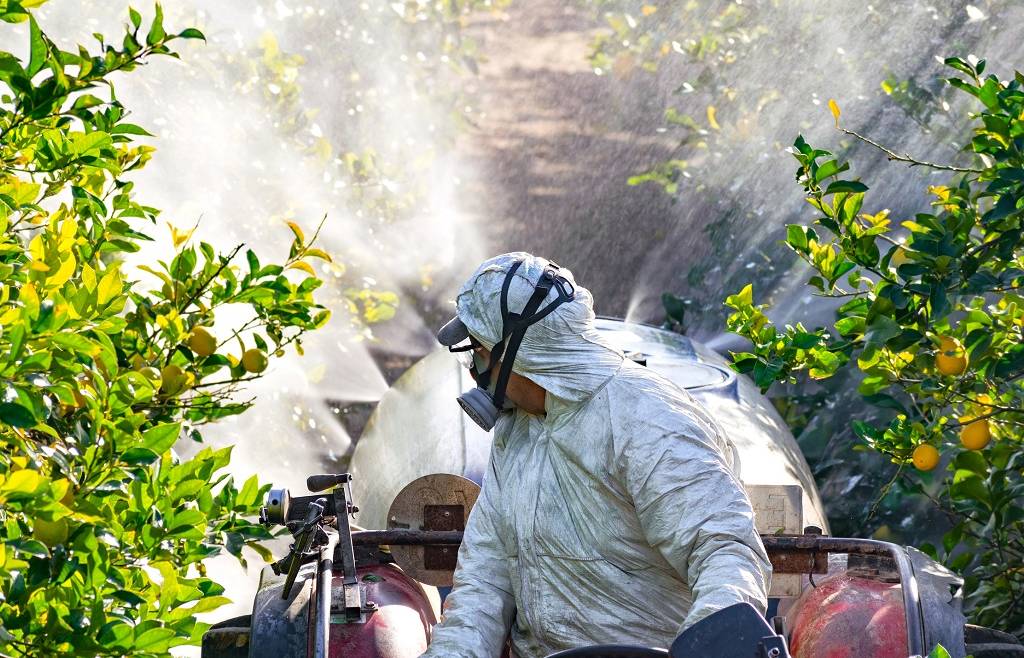 Schede di sicurezza (SDS) degli agenti chimici: nuovo formato